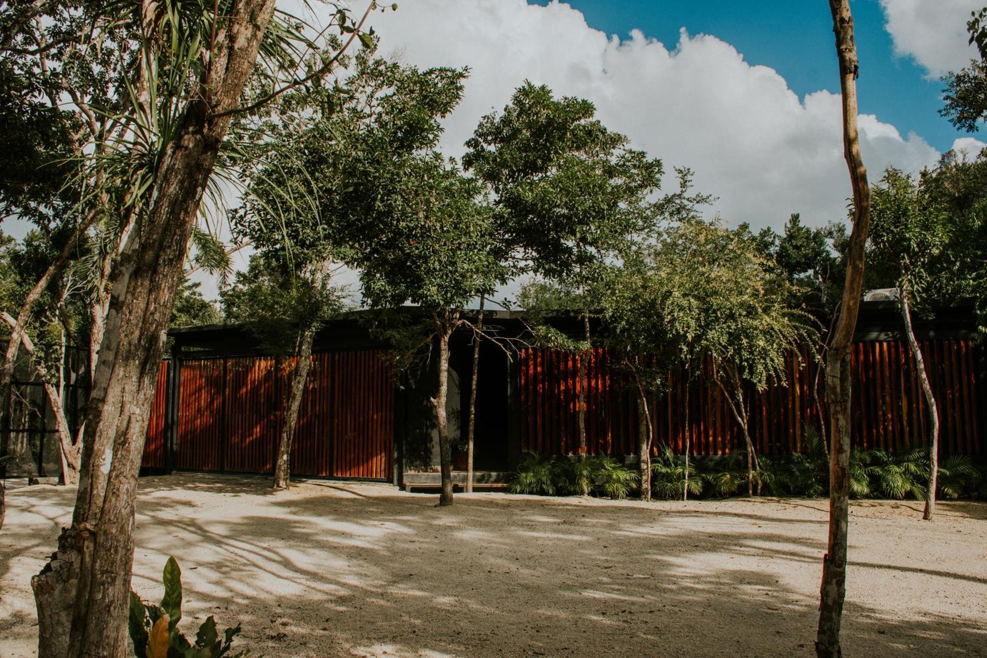 K Naj Community Cenote Residence Balcheil Dış mekan fotoğraf